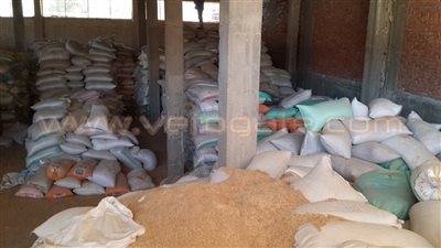 بالصور.. تقرير رسمي يكشف عجز بشون الفيوم للقمح بـ52 مليون جنيه