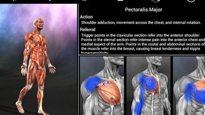 جوجل بلاى يقدم لمستخدمى الأندرويد مرجع التشريح