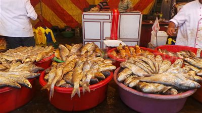 بالفيديو.. إقبال متوسط على شراء الفسيخ والرنجة بالإسكندرية