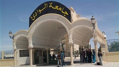 افتتاح كليتين للطب والتمريض بالوادي الجديد بداية العام المقبل