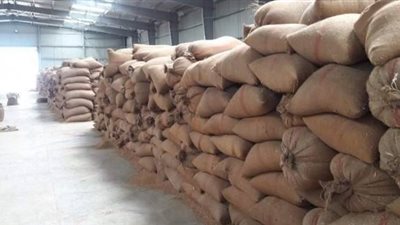 توريد 522 ألف طن قمح للصوامع والشون بالشرقية