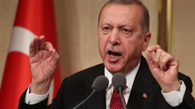 تحالف الأحزاب المصرية يتهم أردوغان بإطلاق أكاذيب ضد مصر