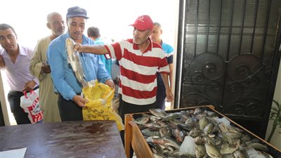 محافظ قنا: إنشاء حوضين جديدين لتلبية احتياجات الأهالي من الأسماك (صور)