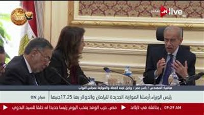 ياسر عمر: انخفاض سعر الدولار لـ17 جنيها بالفترة المقبلة (فيديو)