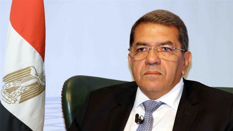 عمرو الجارحى وزير