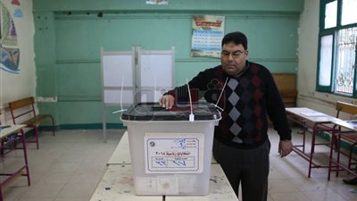 بعثة الاتحاد الأفريقي: المصريون شاركوا بقوة في انتخابات الرئاسة