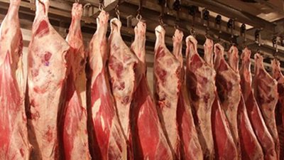 مستورد: الدولار يتحكم في المعروض من اللحوم خلال شهر رمضان