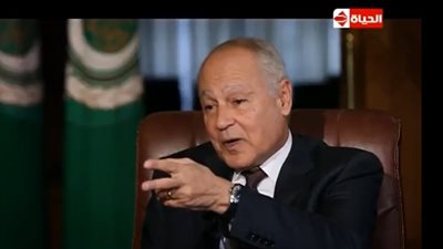 أبو الغيط يكشف أسباب محاولة سقوط الجيوش النظامية (فيديو)