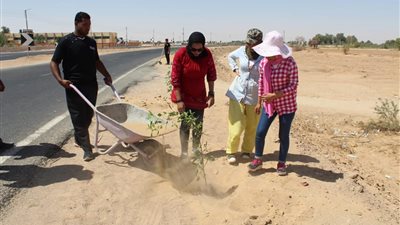 طلاب جامعة الوادى الجديد يغرسون 200 شجرة في أول أيام معسكر قرى الشركة