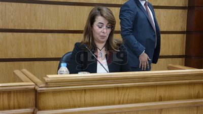 غادة والي: تخصيص 5 آلاف و500 فرع لصرف النفقة