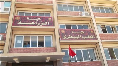 جامعة الوادي الجديد تطلق قوافل بيطرية لـ3 قرى