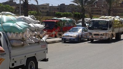 «تموين كفر الشيخ»: توريد 11 ألفا و400 طن قمح من المزارعين