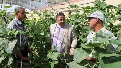 الوادى الجديد تطلق برنامجا مكثفا للتدريب الصيفي بمدارس التعليم الفني