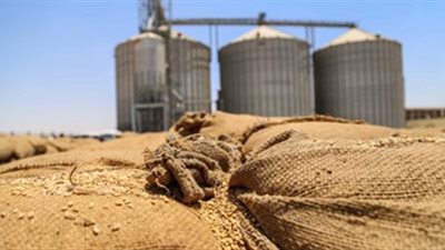160 ألفا و495 طن قمح في صومعة غلال ميناء دمياط