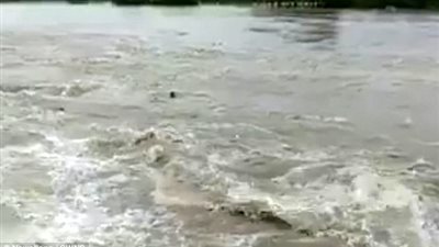 بالفيديو والصور.. جسر ينهار أسفل أسرة بسبب الفيضانات