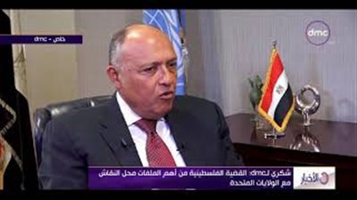 الخارجية: العرب يسعون لإبراز موقفهم الداعم للقضية الفلسطينية (فيديو)