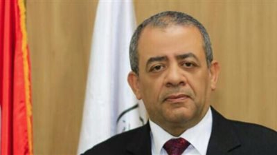 نادي قضاة مجلس الدولة: المشرفون على الانتخابات أدوا واجبهم بشرف وأمانة