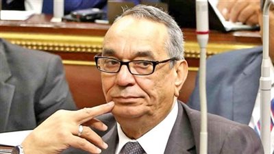 «دفاع البرلمان» تطالب بتحفيز الأسر على الحد من الإنجاب