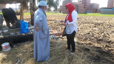 بالصور.. شئون البيئة ينظم حملة توعية بمخاطر حرق قش الأرز بالغربية