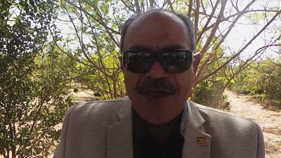 رئيس مركز بحوث الصحراء: أراضي وادي طور سيناء صالحة لكافة الزراعات