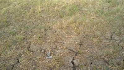 «بورسعيد الزراعية»: إستيراتيجية للتغلب على نقص مياه الري في الموسم الصيفي