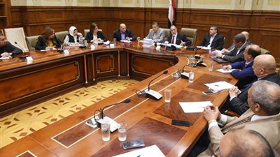 تضامن النواب تطالب بتصنيع وسائل منع الحمل محليا