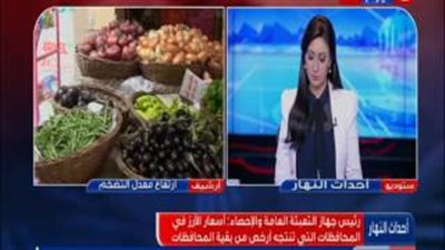 بالفيديو.. أبو بكر الجندي: نتابع أسعار ألف سلعة لتحديد معدل التضخم