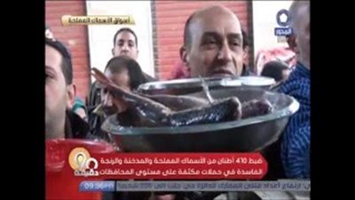 بالفيديو..«التموين»: ضبط 410 أطنان أسماك فاسدة قبل شم النسيم