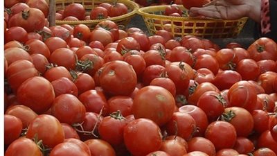 الطماطم تواصل الارتفاع والاستيراد يحقق التوزان