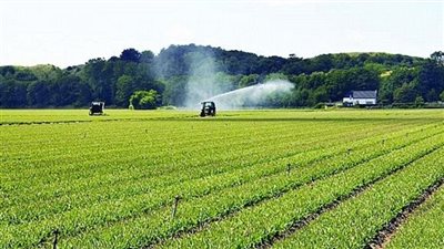 فوائد إنشاء مدينة زراعية باستثمارات كورية لمصر.. «تقرير»