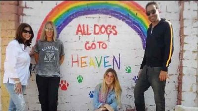 شيرين رضا وميرفت أمين: «كل الكلاب تذهب إلى الجنة»