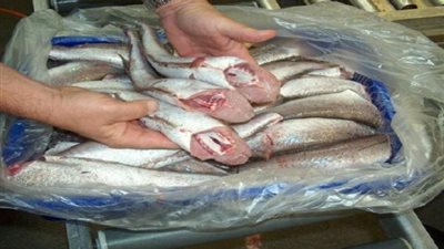 الزراعة: 9 خطوات تكشف صلاحية الأسماك