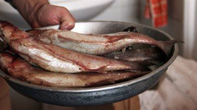 «الطب البيطري» تكشف علامات فساد الفسيخ والرنجة