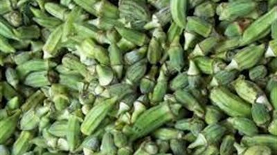 تباين أسعار الخضراوات بسوق الجملة.. والبامية تسجل 20 جنيها