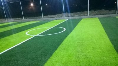 يحقق الاكتفاء الذاتي.. تفاصيل أول مصنع مصري لإنتاج النجيل الصناعي