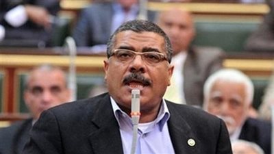 بالفيديو.. «إسكان البرلمان»: الأراضي الزراعية تتآكل بسبب التعديات