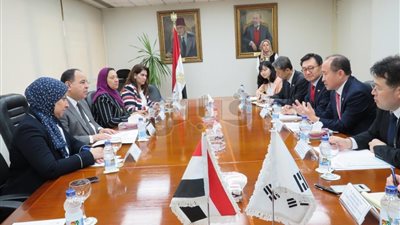 المالية: حوافز ضريبية وجمركية وتمويلية بالقانون الجديد للمشروعات الصغيرة