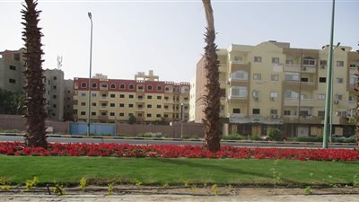 زراعة أشجار ونخيل وزهور نادرة بميادين الغردقة (صور)