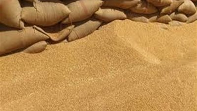غرفة الحبوب: 3800 جنيه سعر طن القمح