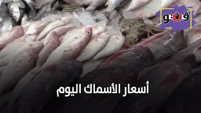 اسعار الأسماك اليوم | تعرف على الاسعار في سوق العبور