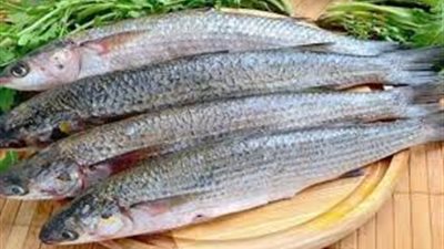 أهم النصائح لتناول الأسماك المملحة في العيد دون مشكلات