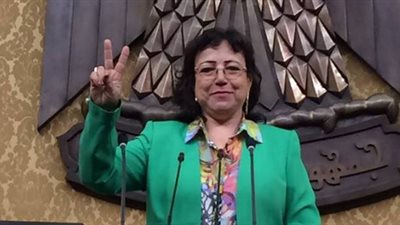 فايقة فهيم: 2.2 مليار جنيه أموال ضائعة بسبب الاقتصاد غير الرسمي