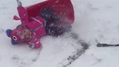 كلب يتسبب في سقوط مروع لطفل (فيديو)