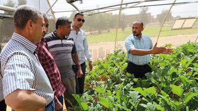 تشكيل لجنة لتقييم حاصلات الصوب بمدرسة الخارجة الزراعية (صور)