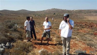 مستوطنون يقطعون 200 شجرة جنوب بيت لحم