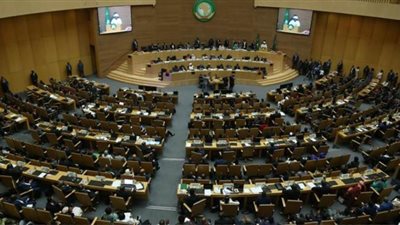 عضو بالبرلمان الأفريقي: على الشباب المصري استثمار خبراتهم في أفريقيا