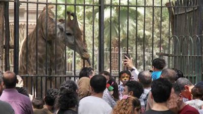 زى النهاردة.. 130 سنة على افتتاح حديقة الحيوان بالجيزة