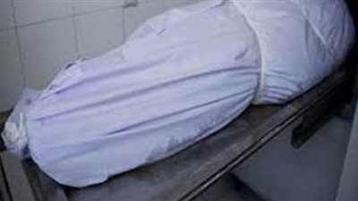 مصرع أمين شرطة في حادث سير بالدقهلية