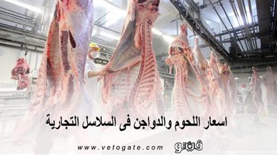 اسعار اللحوم والدواجن فى السلاسل التجارية