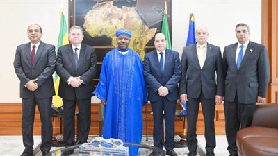 وزير قطاع الأعمال العام يبحث تعزيز التعاون المشترك مع الرئيس الجابوني